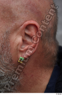 Street 529 ear 0001.jpg